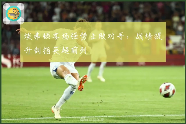 埃弗顿客场强势击败对手，战绩提升剑指英超前列